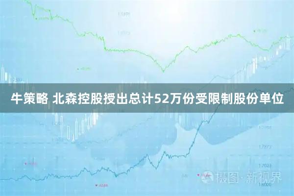 牛策略 北森控股授出总计52万份受限制股份单位
