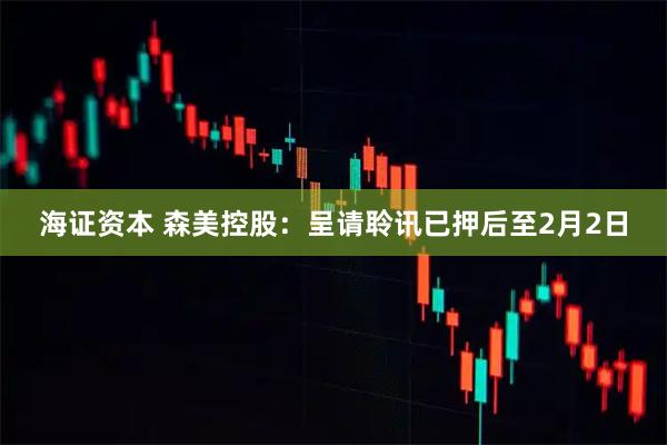 海证资本 森美控股：呈请聆讯已押后至2月2日